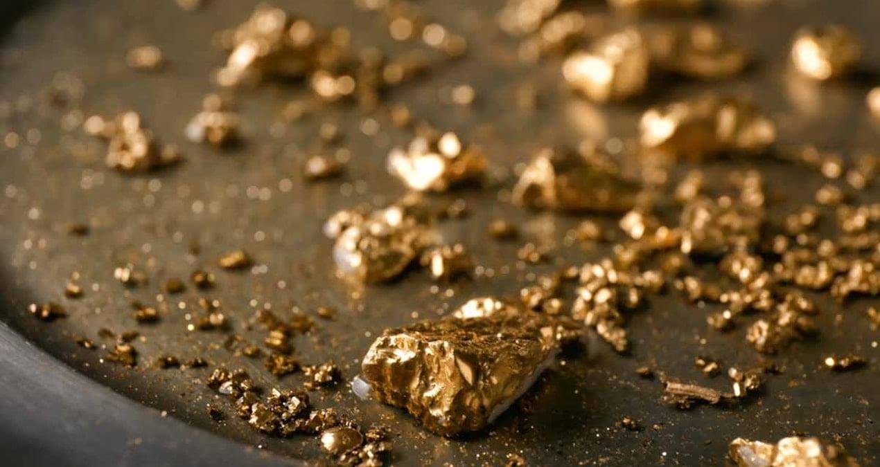 Viyana Bodrumunda Altın Sandığı: Tesisatçının Şaşırtan Keşfi ve Hukuki Müzakereler