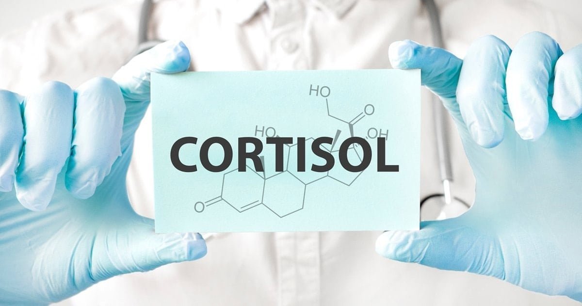 Vücut Saatimiz: Işık, Karanlık ve Kortizolün Sirkadiyen Ritm Üzerindeki Etkileri