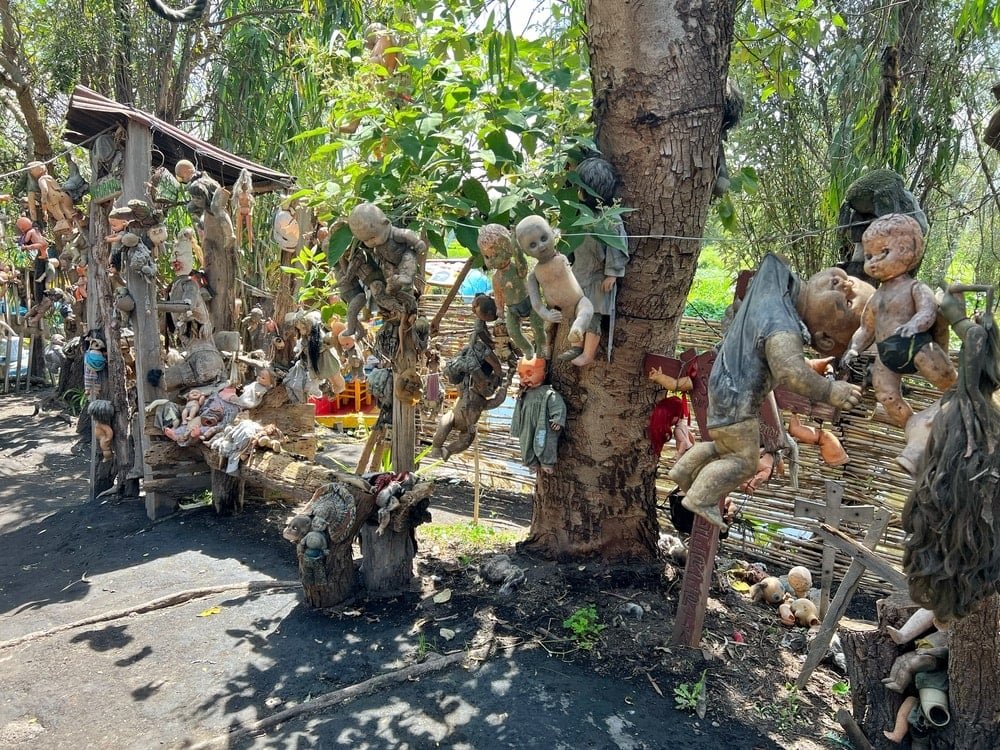 Xochimilco Adası: Kayıp Oyuncak Bebeklerin Ardındaki Esrarengiz Hikaye