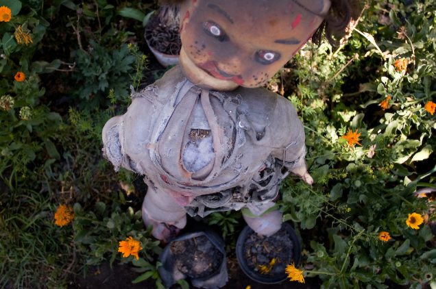 Xochimilco Adası: Kayıp Oyuncak Bebeklerin Ardındaki Esrarengiz Hikaye