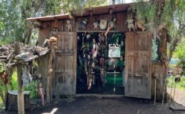 Xochimilco Adası: Kayıp Oyuncak Bebeklerin Ardındaki Esrarengiz Hikaye