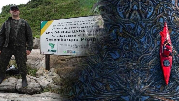 Yılan Adası Queimada Grande: Doğanın Sessiz Koruyucusu