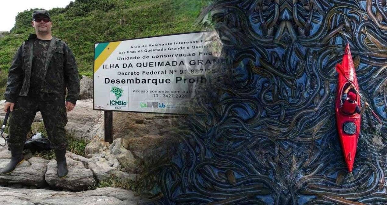 Yılan Adası Queimada Grande: Doğanın Sessiz Koruyucusu