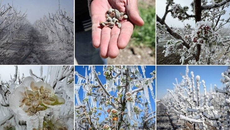 zirai don riskinde üreticilere uyarı ve alınacak koruyucu tedbirler