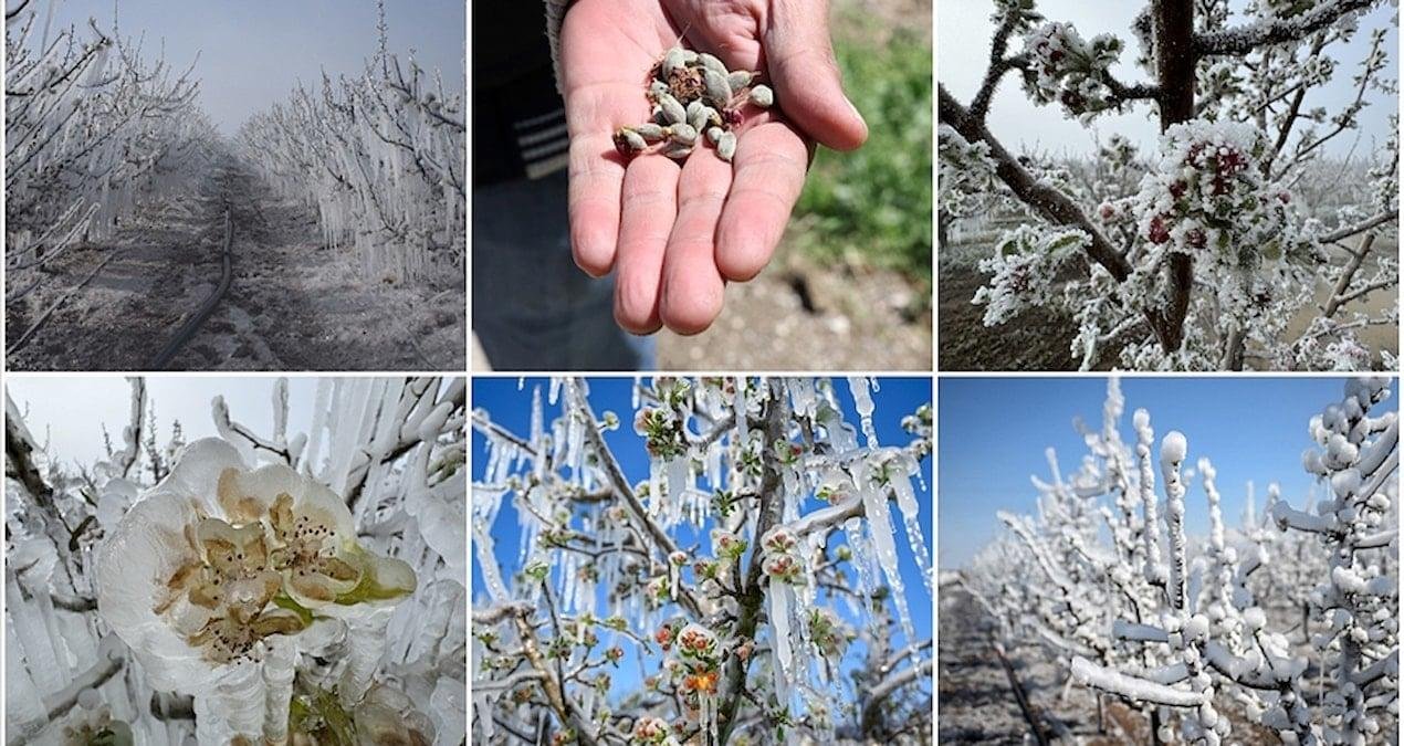 zirai don riskinde üreticilere uyarı ve alınacak koruyucu tedbirler