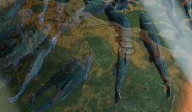 Zombi Balıklarla Dolu Superior Gölü: Gölün Derinliklerinde Süregelen Gizem