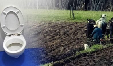 Amish Ailesinin Hijyen ve Hukuk Çatışması: Michigan’de Değişen Yaşam Biçimi ve Çevresel Anlaşma