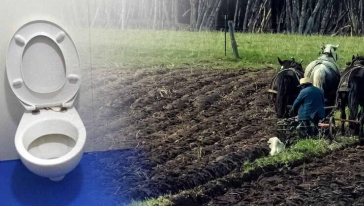 Amish Ailesinin Hijyen ve Hukuk Çatışması: Michigan’de Değişen Yaşam Biçimi ve Çevresel Anlaşma