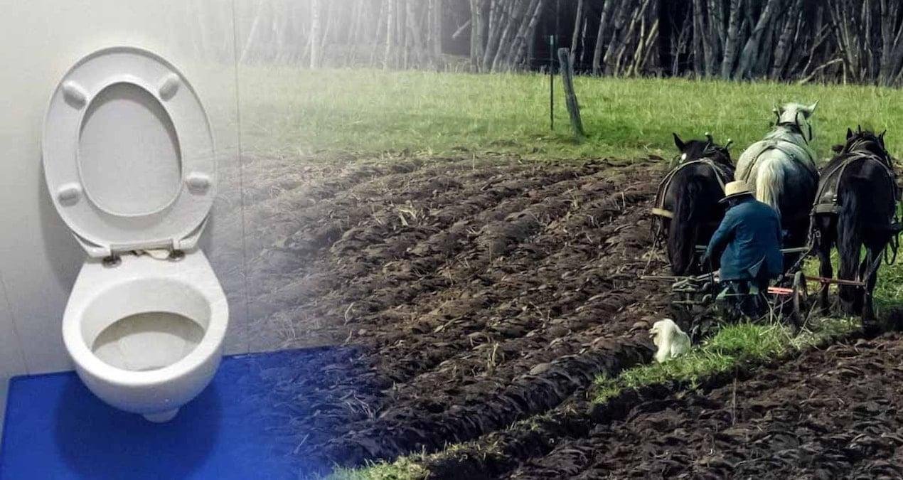 Amish Ailesinin Hijyen ve Hukuk Çatışması: Michigan’de Değişen Yaşam Biçimi ve Çevresel Anlaşma