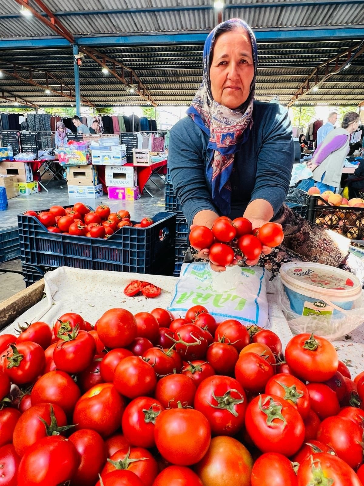Antalya Tarımında Türkiye’nin Öncü Şehir: Üretimdeki Zenginlik ve İhracata Yönelik Kapasite