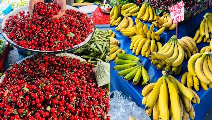 Antalya Tarımında Türkiye’nin Öncü Şehir: Üretimdeki Zenginlik ve İhracata Yönelik Kapasite
