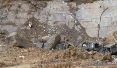 Arenaerpeton: Triyas Döneminin Dev Amfibiisinin Derinlikten Gelen İzleri