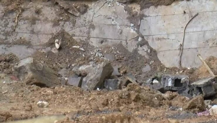 Arenaerpeton: Triyas Döneminin Dev Amfibiisinin Derinlikten Gelen İzleri
