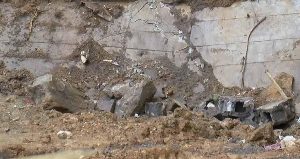 Arenaerpeton: Triyas Döneminin Dev Amfibiisinin Derinlikten Gelen İzleri
