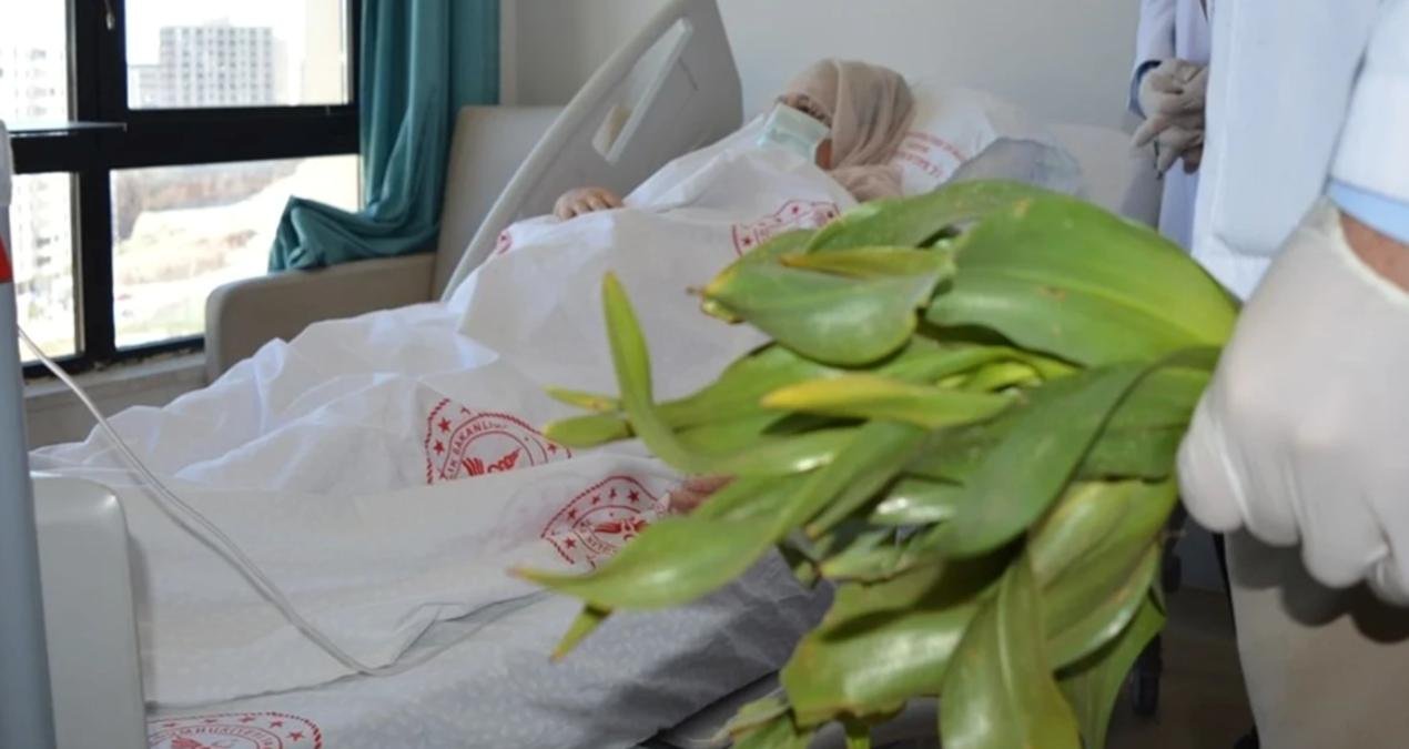 Doğadan Toplanan Bitkiler ve Zehirlenme Tehlikesi: Şifa Ararken Hayat Pahasına Düşmek