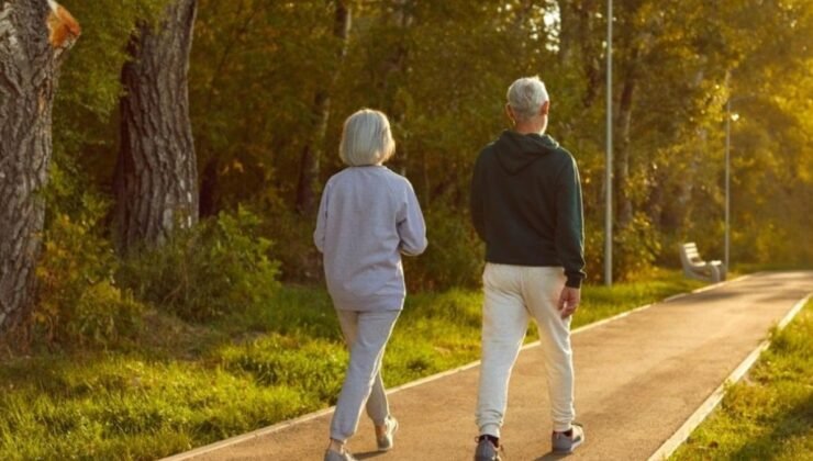 Kolesterol ve trigliserit Dengesi: Sinsi Riskleri Yeniden Anlamak
