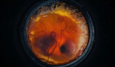 Kuș Embriyolojisinde Devrim Niteliğinde Yapay Dış Destek Sistemi ile De-extinction İçin Yeni Ufuklar