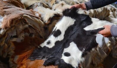 Kurban Derilerinin Doğru İşlenmesiyle Ekonomiye Katkı: Türkiye Deri Sektörü ve Stratejik Ham Madde