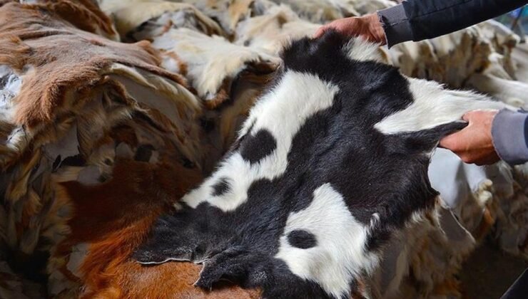 Kurban Derilerinin Doğru İşlenmesiyle Ekonomiye Katkı: Türkiye Deri Sektörü ve Stratejik Ham Madde