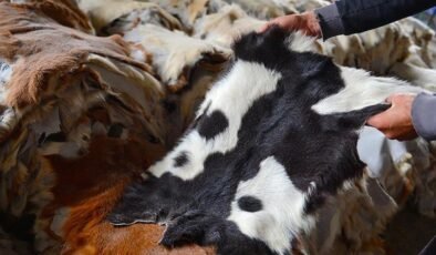 Kurban Derileriyle Türkiye’nin Deri ve Kürk Sektörüne Yatırım ve Sürdürülebilirlik Perspektifi