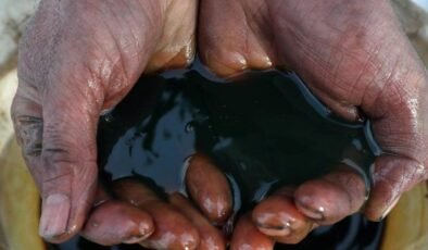 Kuyudan Çıkan Ham Petrol ve Ailenin Hak Talepleri: Brezilya’da Karantina Altında Tarım Alanı Krizi