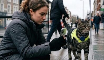 PettiChat: Evcil Hayvan Konuşmalarını İnsan Diline Taşıma İddiası ve Tartışmalar