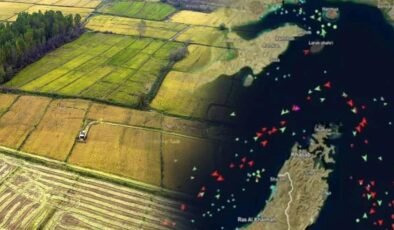 Pirinç Krizi: Savaş ve El Niño’nun Küresel Etkileri