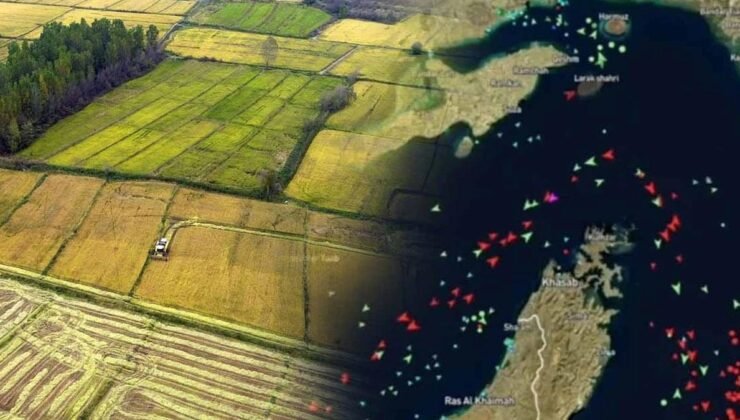 Pirinç Krizi: Savaş ve El Niño’nun Küresel Etkileri