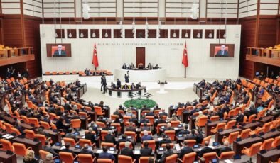 Varlık Barışı ve İstanbul Finans Merkezi Düzenlemeleri Üzerine Muhalefet Şerhi