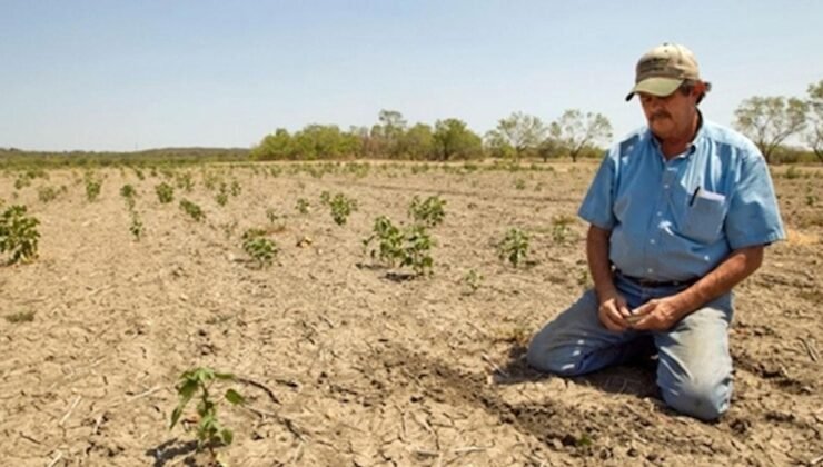 El Niño Alarmı: Sıcaklıklar ve İklim Riskleri Çığ gibi Yükseliyor