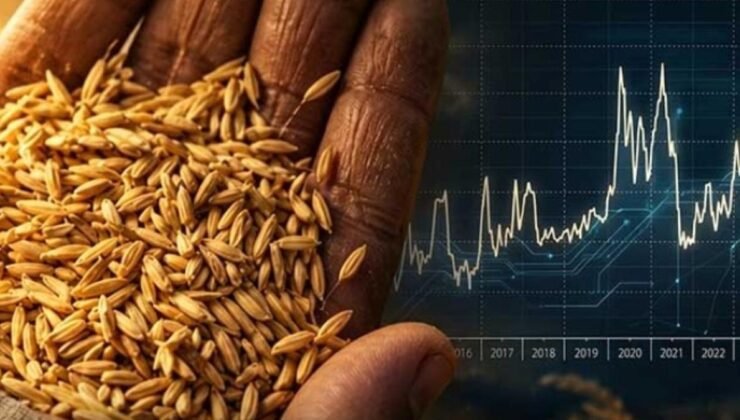El Nino ve Hürmüz Boğazı: Pirinç Fiyatlarında Küresel Dalgalanma Noktası