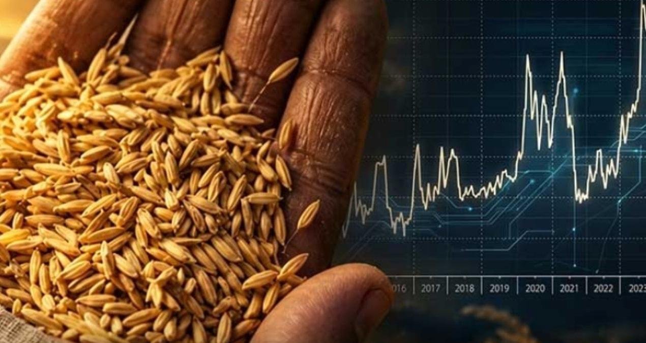 El Nino ve Hürmüz Boğazı: Pirinç Fiyatlarında Küresel Dalgalanma Noktası