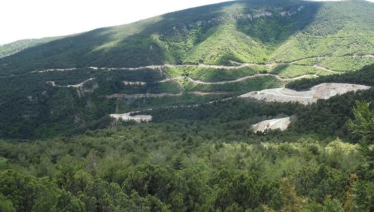 Eti Bakır’ın Sinop madenine dair kararlar ve toplumsal katılım süreci üzerine değerlendirme