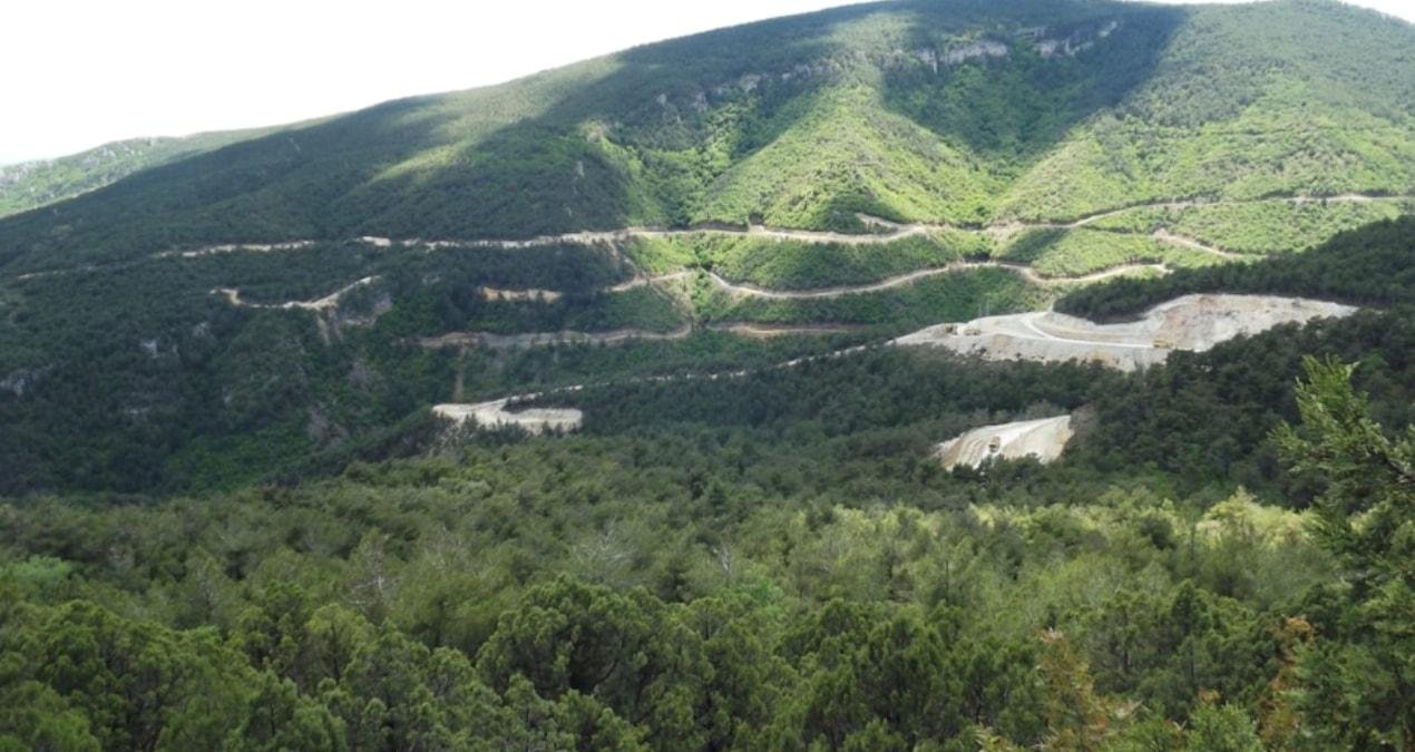 Eti Bakır’ın Sinop madenine dair kararlar ve toplumsal katılım süreci üzerine değerlendirme